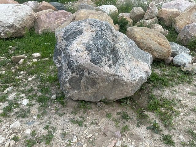 A large, weathered rock with a dark patch sits on grassy, rocky ground.